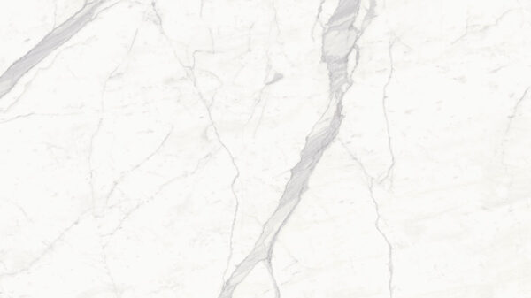 PLANE EXTRA VENA - Image 2